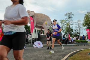 BIB: 
                            <button type="button" onclick="openModal(26528970)" class="btn btn-primary btn-sm float-right btn-popup" data-toggle="modal" data-target=".modal-high-quality">
                        <i class="fas fa-shopping-cart"></i> Add to Cart
                    </button>
                                            <button type="button" onclick="isThisMe(26528970, true)" class="btn btn-success btn-sm float-right btn-popup btn-isme hidden" data-toggle="tooltip" data-placement="bottom" title="นี่คือรูปของคุณใช่ไหม คลิกที่นี่เพื่อเอาเข้าอัลบั้ม">
                        <i class="fas fa-plus"></i> Add to album
                    </button>
                    <button type="button" onclick="isThisMe(26528970, false)" class="btn btn-warning btn-sm float-right btn-popup btn-isnotme hidden">
                        <i class="fas fa-ban"></i> Remove from album
                    </button>